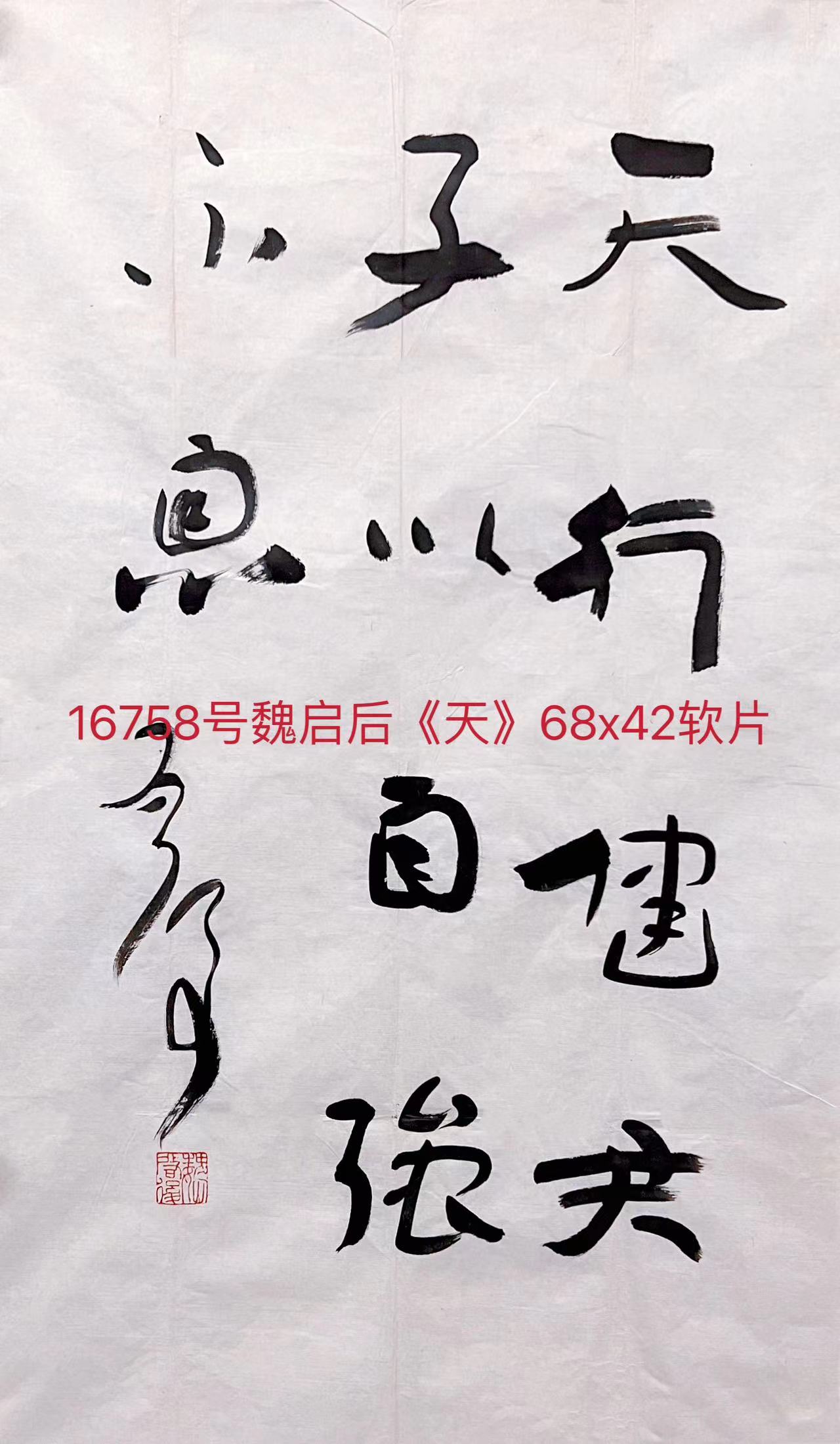 16756号魏启后【书法】68x42软片.jpg