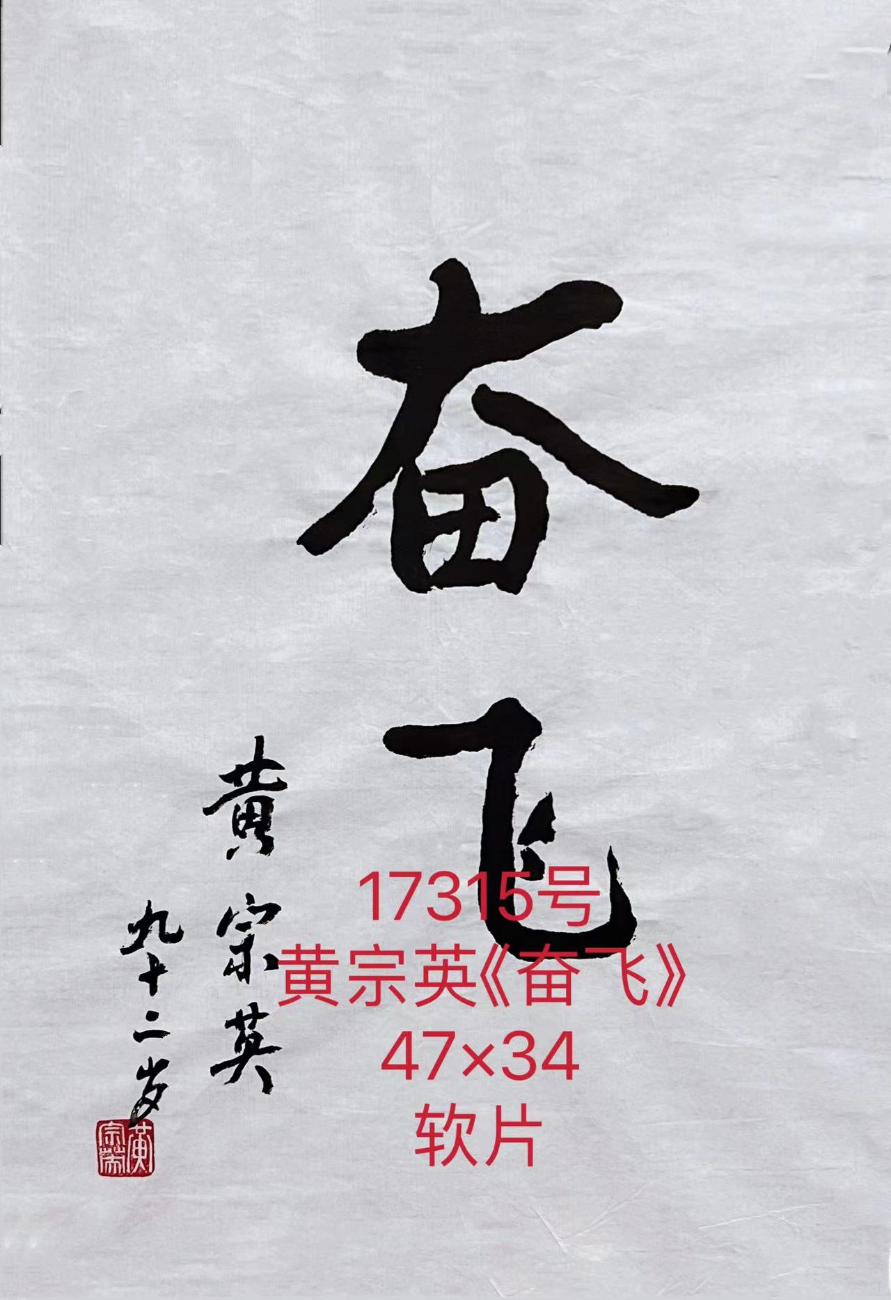 17315号黄宗英《奋飞》47×34软片（500元2024年10月25号赵小滨卖我）【20220518有上新网站】.jpg