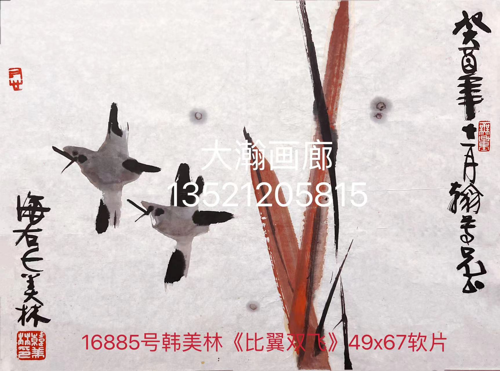 16885号韩美林《比翼双飞》49x67软片.jpg