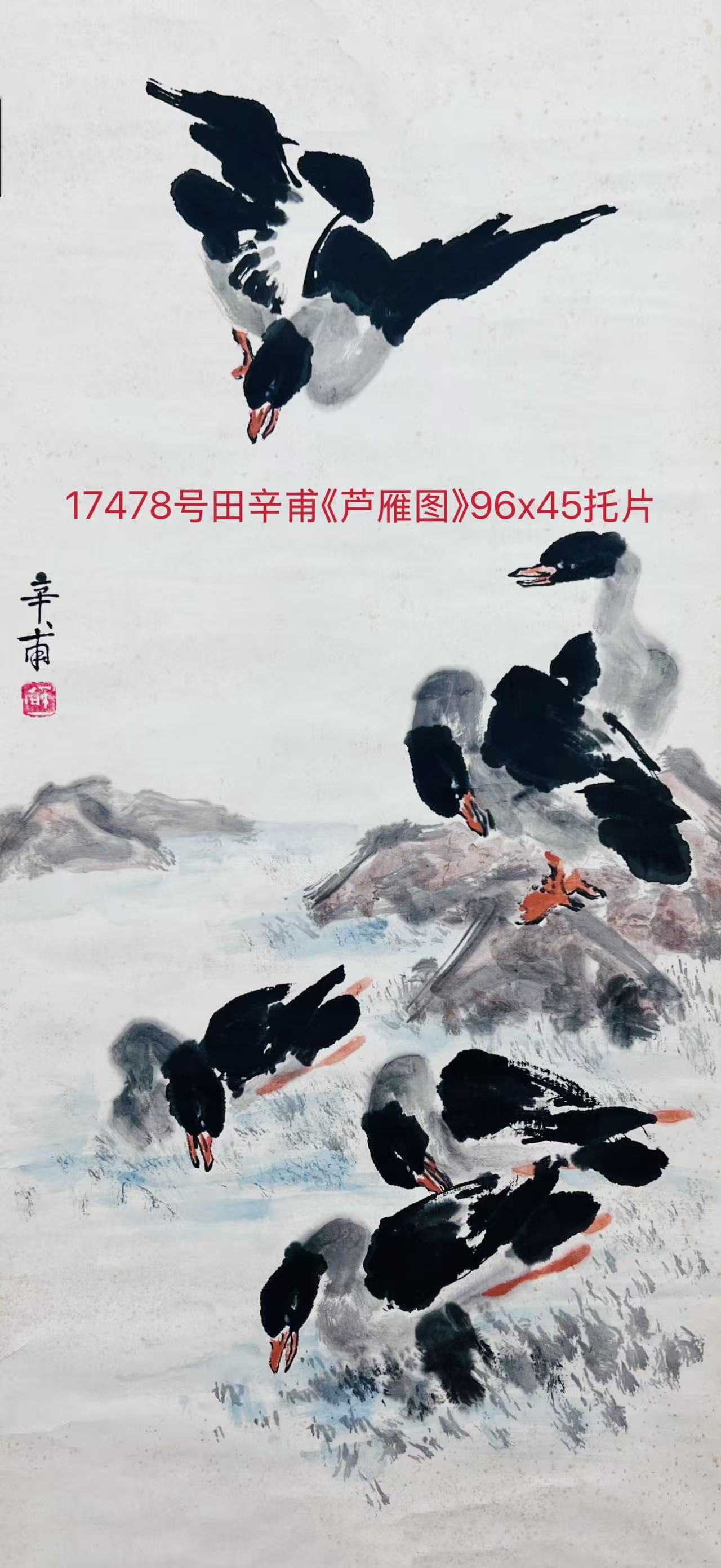 17478号田辛甫《芦雁图》96x45托片.jpg